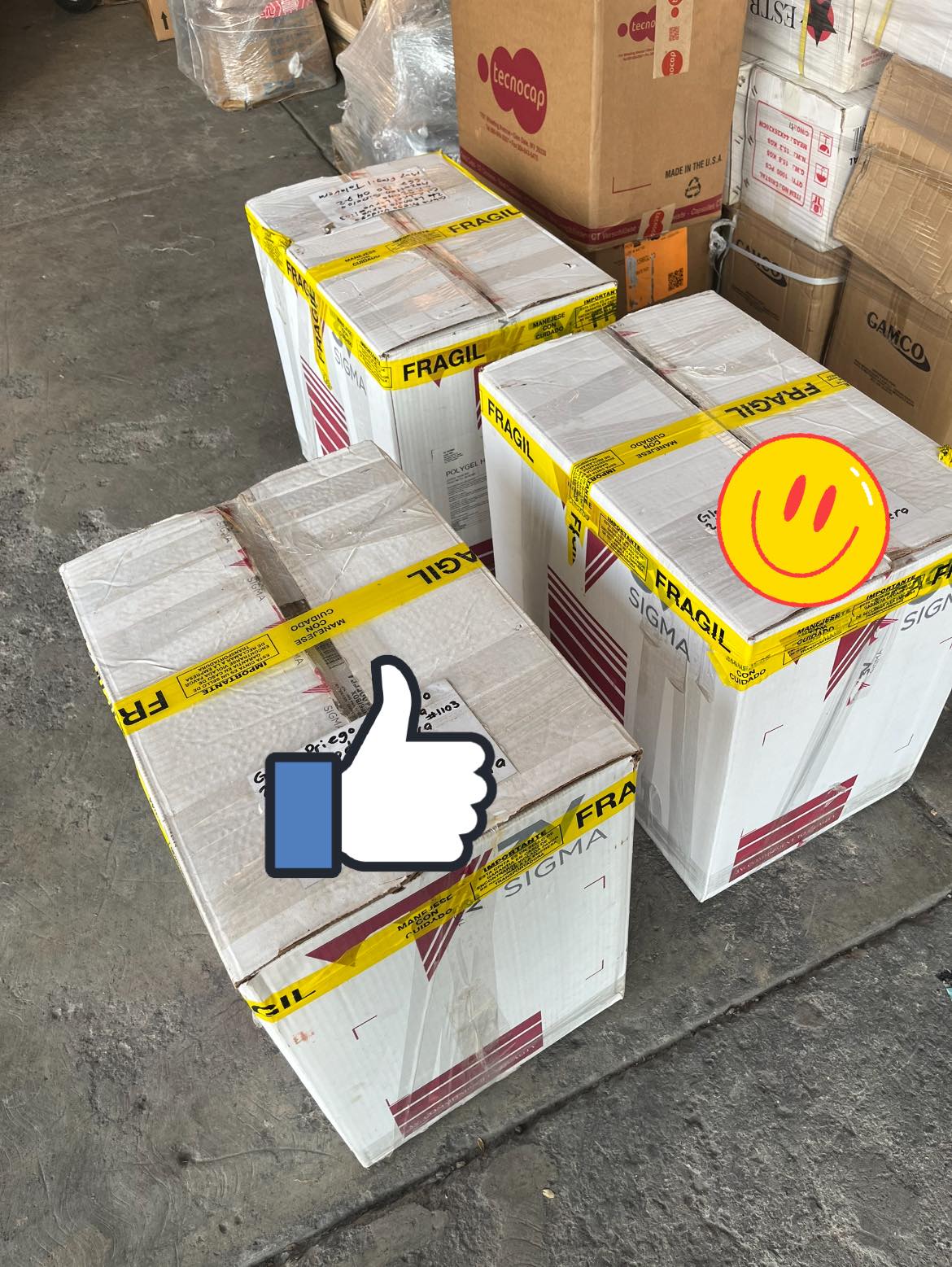 Cliente satisfecho con maceta de talavera de Artesanías Caiditas 2